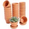 1.9 in 16-Pack Small Terra Cotta Mini Pots with Saucers and Drainage Hole, Paintable Pottery for Succulents, Plants, Flowers, Cactus, Garden Nursery, and Wedding Decor